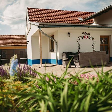 Apartman U Draba: Ubytovani Na Slovacku V Miloticich U Kyjova Milotice Extérieur photo