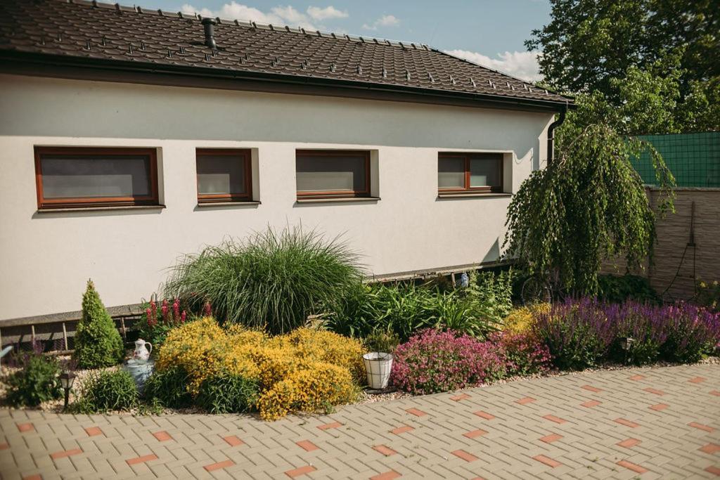 Apartman U Draba: Ubytovani Na Slovacku V Miloticich U Kyjova Milotice Extérieur photo